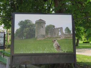 00006MarjetaMarincˇicˇSˇtudijski krozˇek Naravna_in_kulturna_dedisˇcˇina_Zgornje_Pivke_fotoStojanSpeticˇjpg